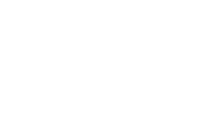 NCPD Night City Police Department 标志
